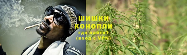 apvp Горняк