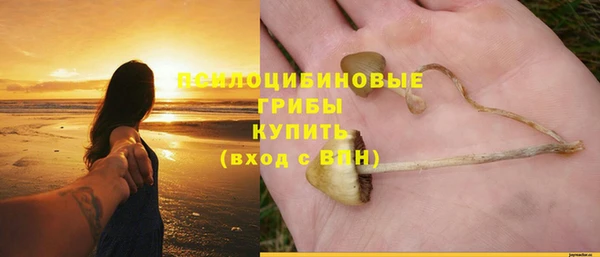 ГАЛЛЮЦИНОГЕННЫЕ ГРИБЫ Гусь-Хрустальный