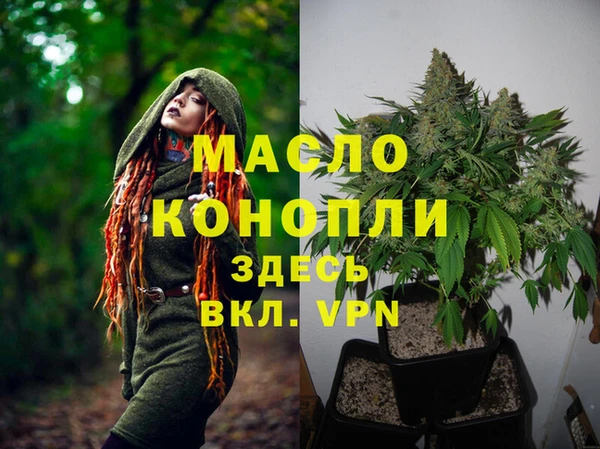 альфа пвп Гусев