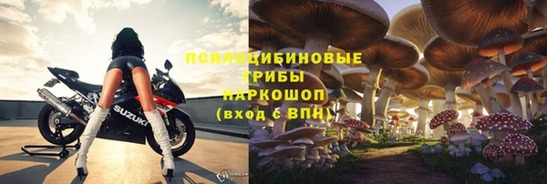 ГАЛЛЮЦИНОГЕННЫЕ ГРИБЫ Гусь-Хрустальный